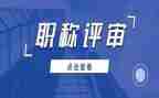 小一评审工作总结5篇