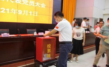小学评选优秀教师事迹材料5篇