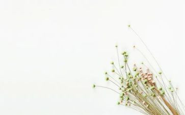 签约仪式下讲话稿5篇