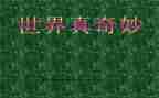 小班奇妙的蛋教案推荐5篇