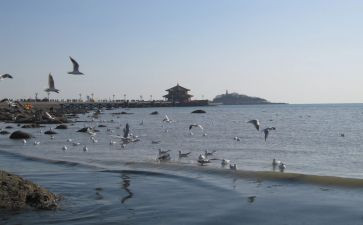 青岛游记作文400字作文6篇