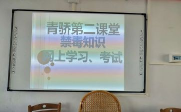 青骄课堂活动总结推荐6篇