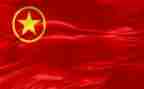 青团教师心得体会参考7篇