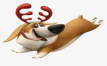 有关犬调查报告通用5篇