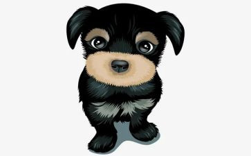 社区犬防疫工作总结5篇