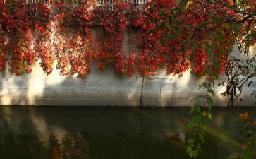 非全日制用工合同模板5篇