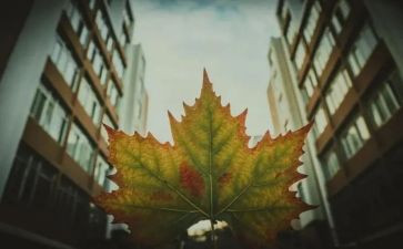 非全日制用工合同6篇