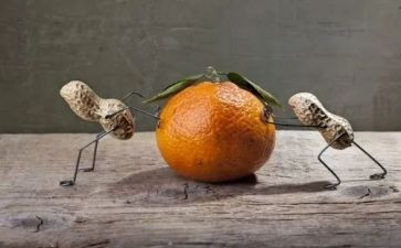 趣味赛活动总结模板6篇