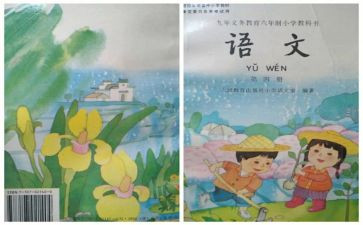 先进个人教师事迹材料优质7篇