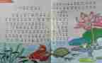 个人教学工作总结2022数学6篇