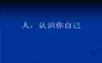 认识4和5小班教案模板6篇