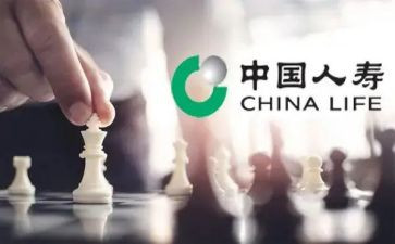 中国人寿新人周工作总结5篇