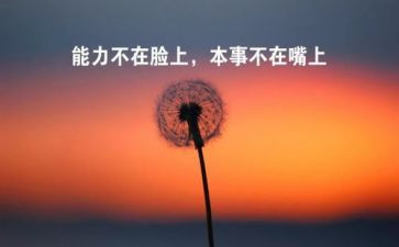 工作总结个人心得精选8篇