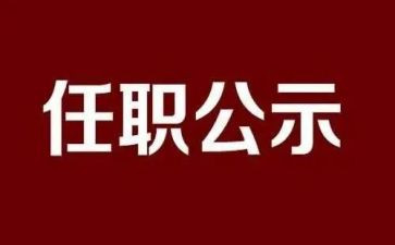 任职后教师工作总结7篇