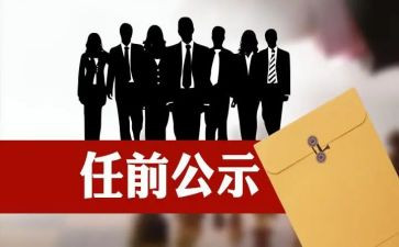 任职以来技术工作总结5篇