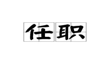 任职期述职报告8篇