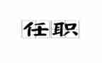 任职期述职报告8篇