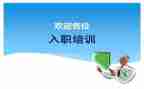新入职员工个人工作总结5篇