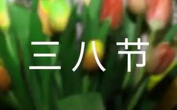 庆三八演讲稿推荐7篇