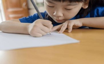 小学三年级上学期工作总结8篇