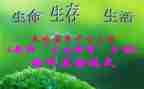 高三生物教学工作计划5篇