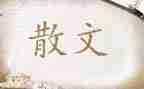 对散文的心得体会5篇