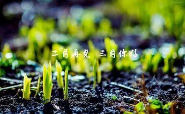三月校长讲话稿5篇