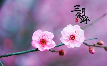 三月份幼儿园工作总结7篇