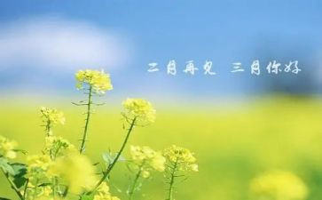 三月份的工作计划6篇
