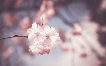 幼师三月份工作总结7篇