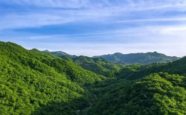 山海情读后感1000字7篇