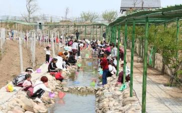庵上湖调查报告8篇