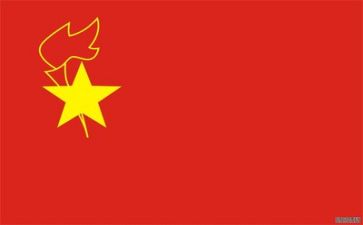 少先队主要事迹材料7篇