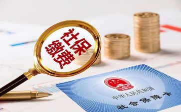 社保工作总结6篇