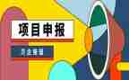 高级申报述职报告5篇