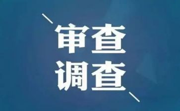 调查审查工作心得体会8篇