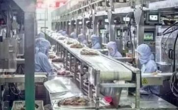 生产半年工作总结7篇