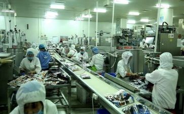 安全生产年工作计划模板5篇