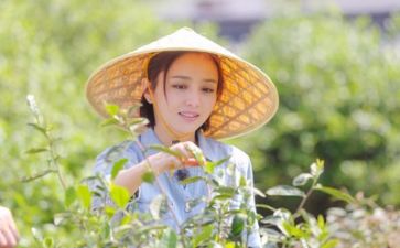 进生活部的工作计划最新5篇