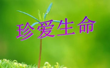 生命的心得体会1000字6篇