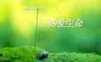 生命为主题演讲稿7篇