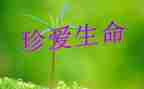 珍爱生命的作文精选8篇