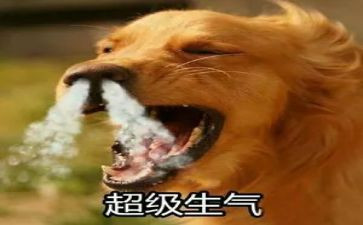 生气不生气作文8篇