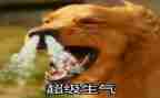 生气不生气作文8篇