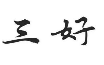 省三好个人主要事迹8篇