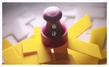 2024年审计干部述职报告范文6篇