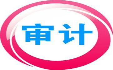 审计室工作总结范文6篇