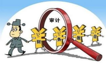 审计办工作总结7篇