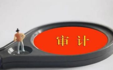 审计局2022年工作计划8篇