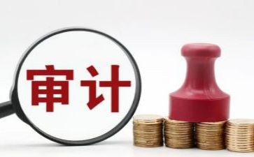 审计前工作总结8篇